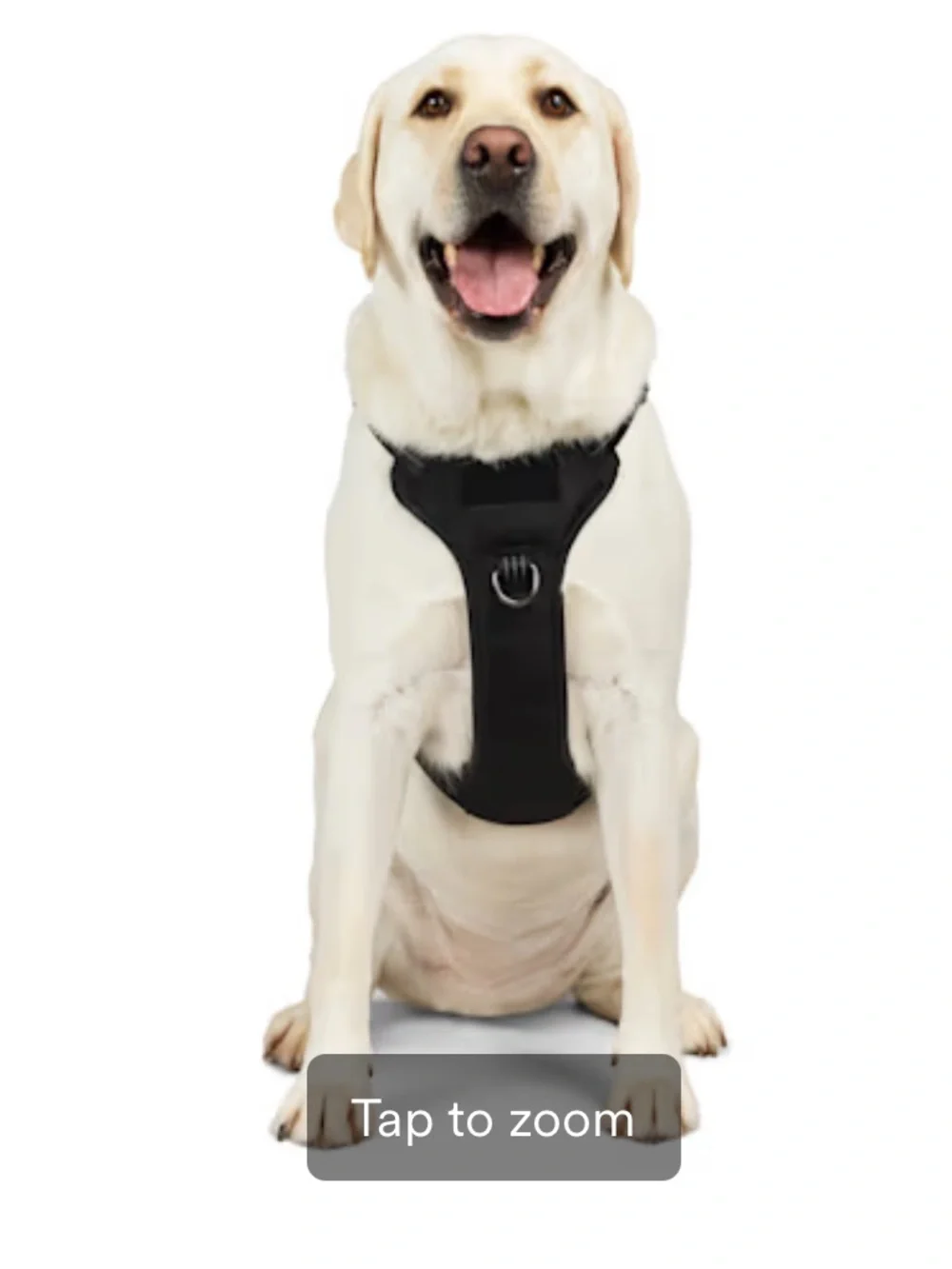 Premium Black Tactical Dog Harness with Reflective Stitching